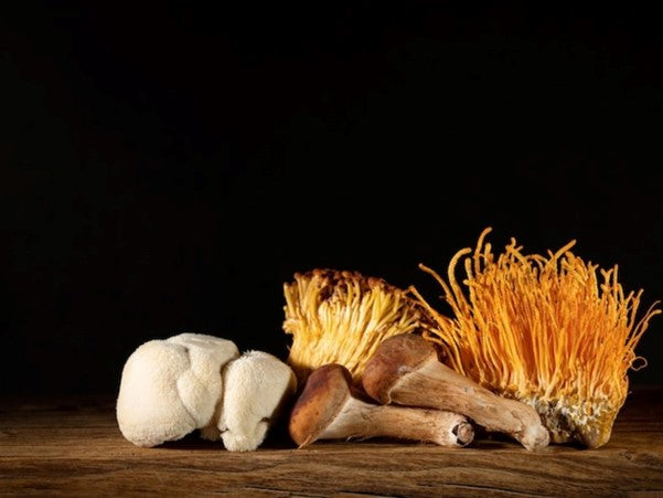 The Power of Cordyceps: How This Mushroom Enhances Your Workout