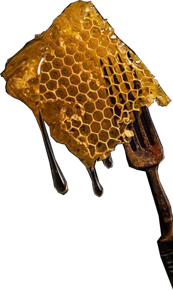 Honey Lot Numbers: What a Batch Code Can Tell You