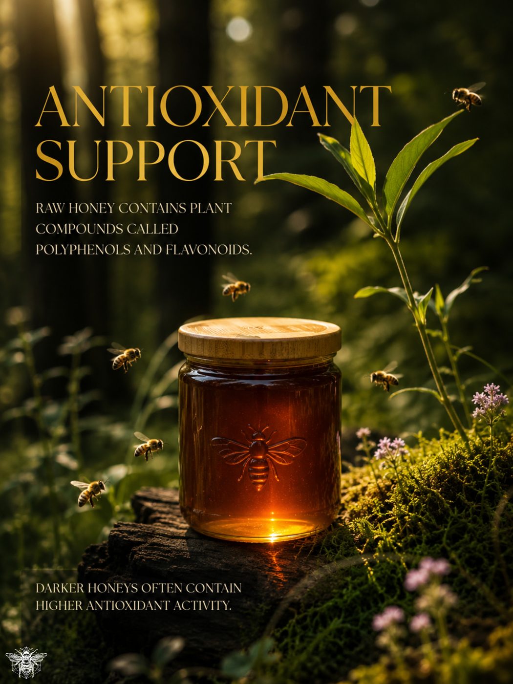 Antioxidants in Honey: What They Are and Why Color Matters